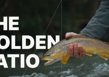 The Golden Ratio of Nymphing