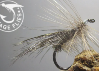 Tying Tuesday: CDL Peacock Caddis