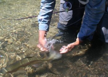 3 Strategies for Spending More Time Fishing This Year