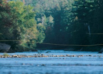 Classic Pro Tips: What Makes Good Stream Etiquette?