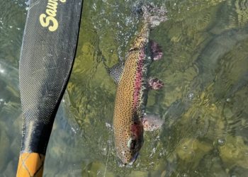 Cool Nights Slow Mornings on the McKenzie