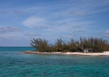 Is Fishing The Bahamas Worth It?