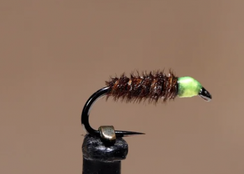 Tying Tuesday: Cased Caddis Larva