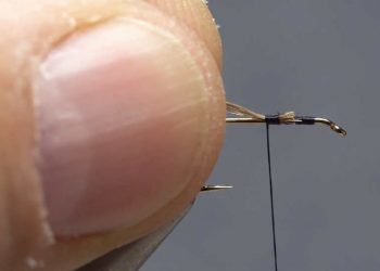 Video: How to Create Perfect Hackle-Fiber Fly Tails, Part 2