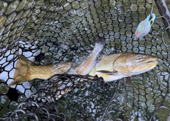 Local Waters on the Drop – Fishing Improving