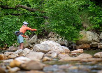 Pro Tips: How Close Should You Get to a Rising Trout?