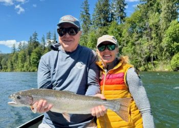 Summer Steelhead in the Willamette Basin