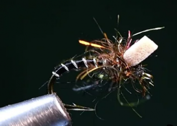 Tying Tuesday: Massacre Midge