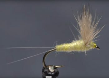 Video: How to Choose Deer Hair for Comparaduns