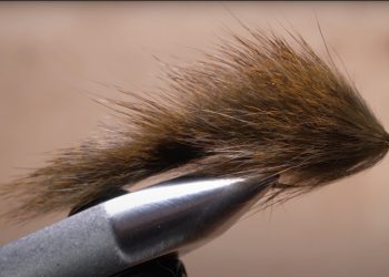 Video: How to Tie a Pine Squirrel Streamer