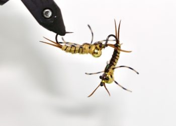 Belly Bumper Golden Stone: Nymph Tying Tutorial