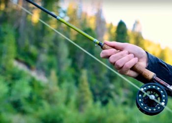 Honest Talk on Fly Rods