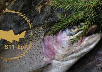 Troubles With Club Fishing | MidCurrent