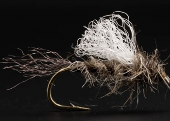 Tying Tuesday | MidCurrent