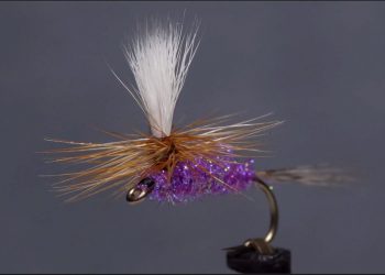 Video: How to Tie the Speedy Sparkle Purple Haze