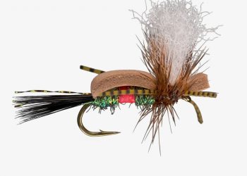 Top 5 Summer Terrestrial Fly Patterns