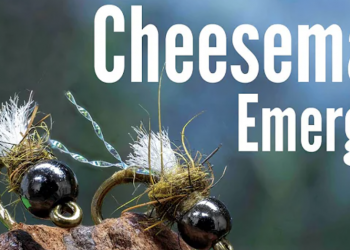 Tying Tuesday | MidCurrent