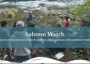 Volunteers Needed for Salmon Watch