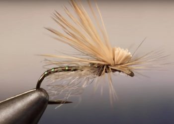 Denver Fur Ban Threatens Fly Fishing