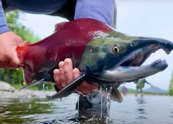 Slipping Away | MidCurrent