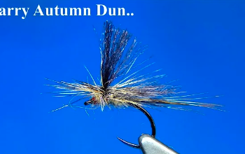 Tying Tuesday: Two Nymphs and a Dry