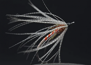 Tying Tuesday: Wet Flies, Caddis, and Nymphs