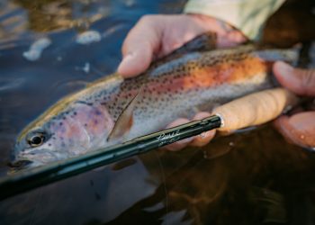 Winston’s New Pure 2 Rods