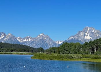 Fishing the One Fly | MidCurrent