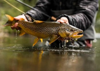 Join us on October 25th for a Presentation on Fly Fishing in Argentina