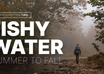 Tips for Reading Water | MidCurrent