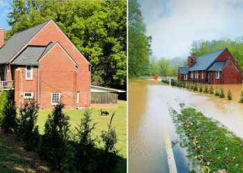 Helping Out Louis Cahill | MidCurrent