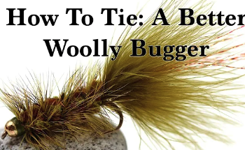 Tying Tuesday: Woolly Buggers, Blue-Wings, and Damsels