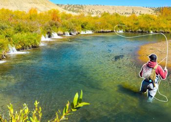 AMAZING FLY FISHING FOR BIG TROUT! (Streamer Fishing)