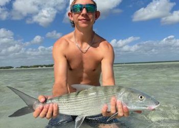 Abaco Island Bahamas – Trip Report November 2024