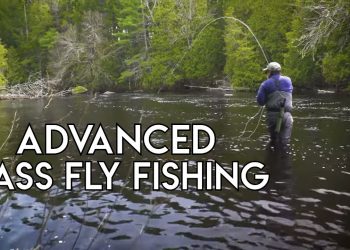 Advanced Bass Fly Fishing