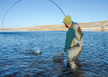 An Ode to Wool | MidCurrent