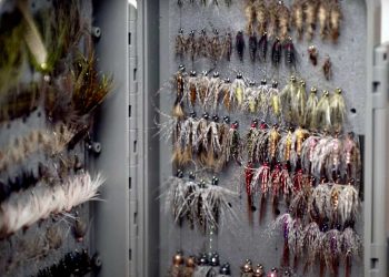 Best Flies To Use When You Don’t Know What the Fish Want