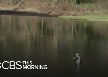 Fly fishing: What is it, and why is it so popular?