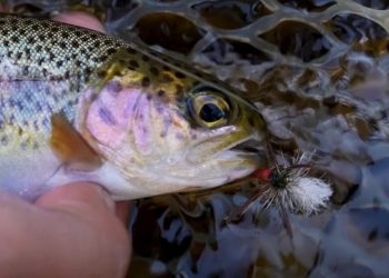 Fly Fishing Helps Idaho Foster Youth