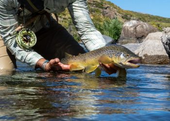 Postcards from Argentina 2025 | The Caddis Fly: Oregon Fly Fishing Blog