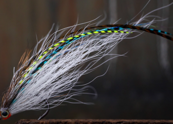 Tying Tuesday: Midges, Beetles, and Deceivers