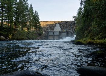 DISCONNECTED McKENZIE | The Caddis Fly: Oregon Fly Fishing Blog