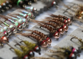 What Makes a Fly Original?