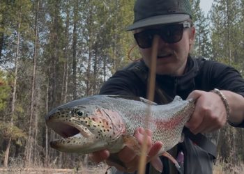Fall River Update | The Caddis Fly: Oregon Fly Fishing Blog