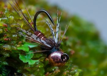 Jigged March Brown Nymph Tutorial