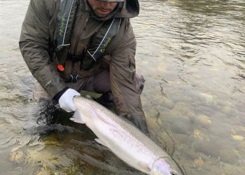Steelhead Fisheries on the Skagit & Sauk Rivers to Close April 11