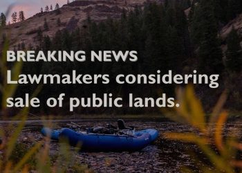 Take Action: Stand Up for Public Lands