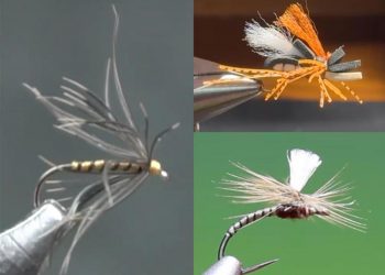Tying Tuesday: Three Flies for the Top of the Water Column