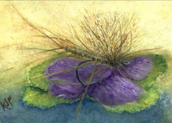 Artist Profile: Katherine Ford, Capturing Beauty in Close Detail