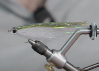 Bull Candy: Streamer Fly Tying Tutorial